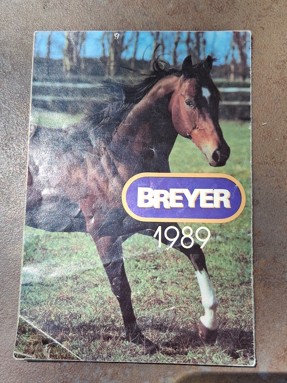 Breyer 1989 Pamphlet